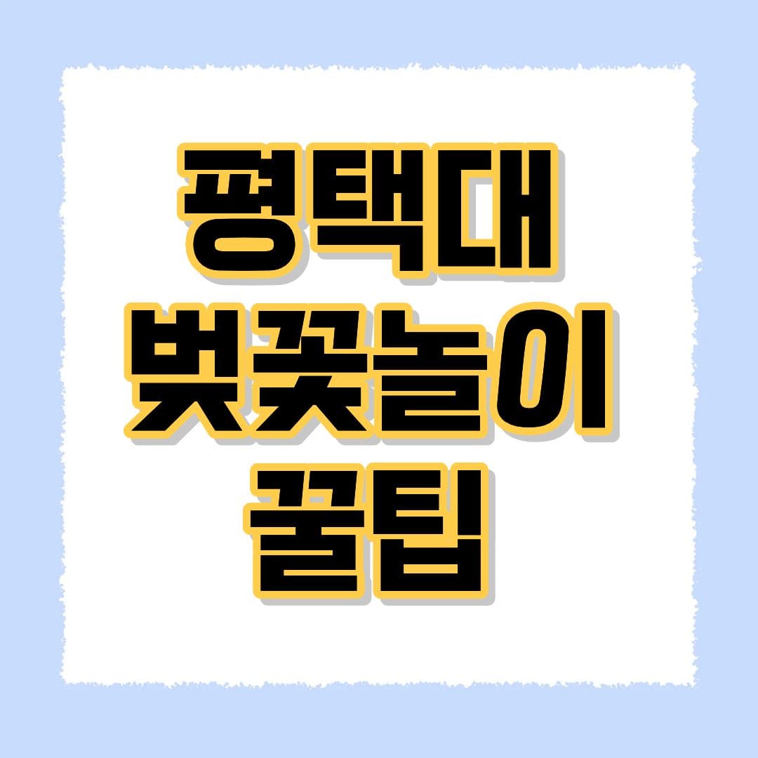 평택대 벚꽃놀이