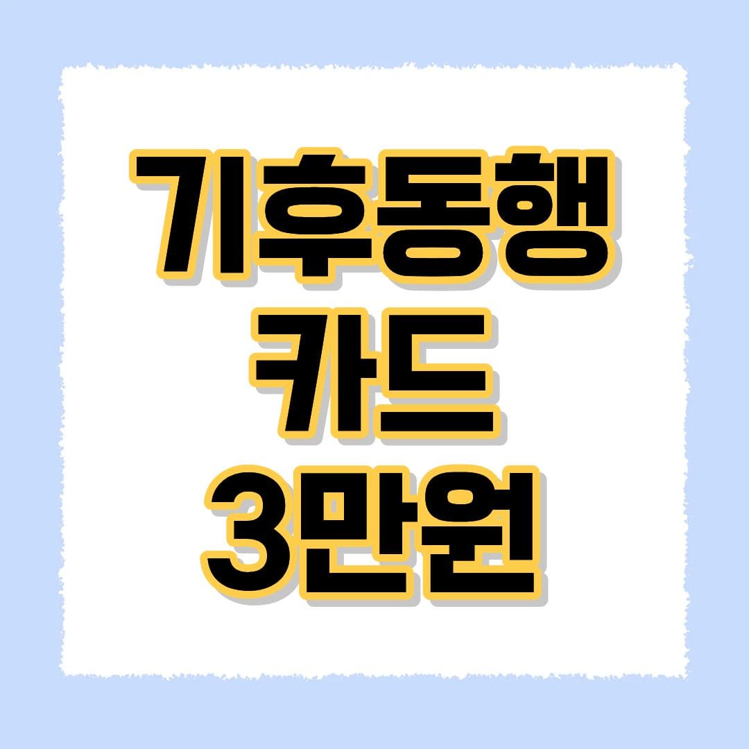 기후동행카드 3만원