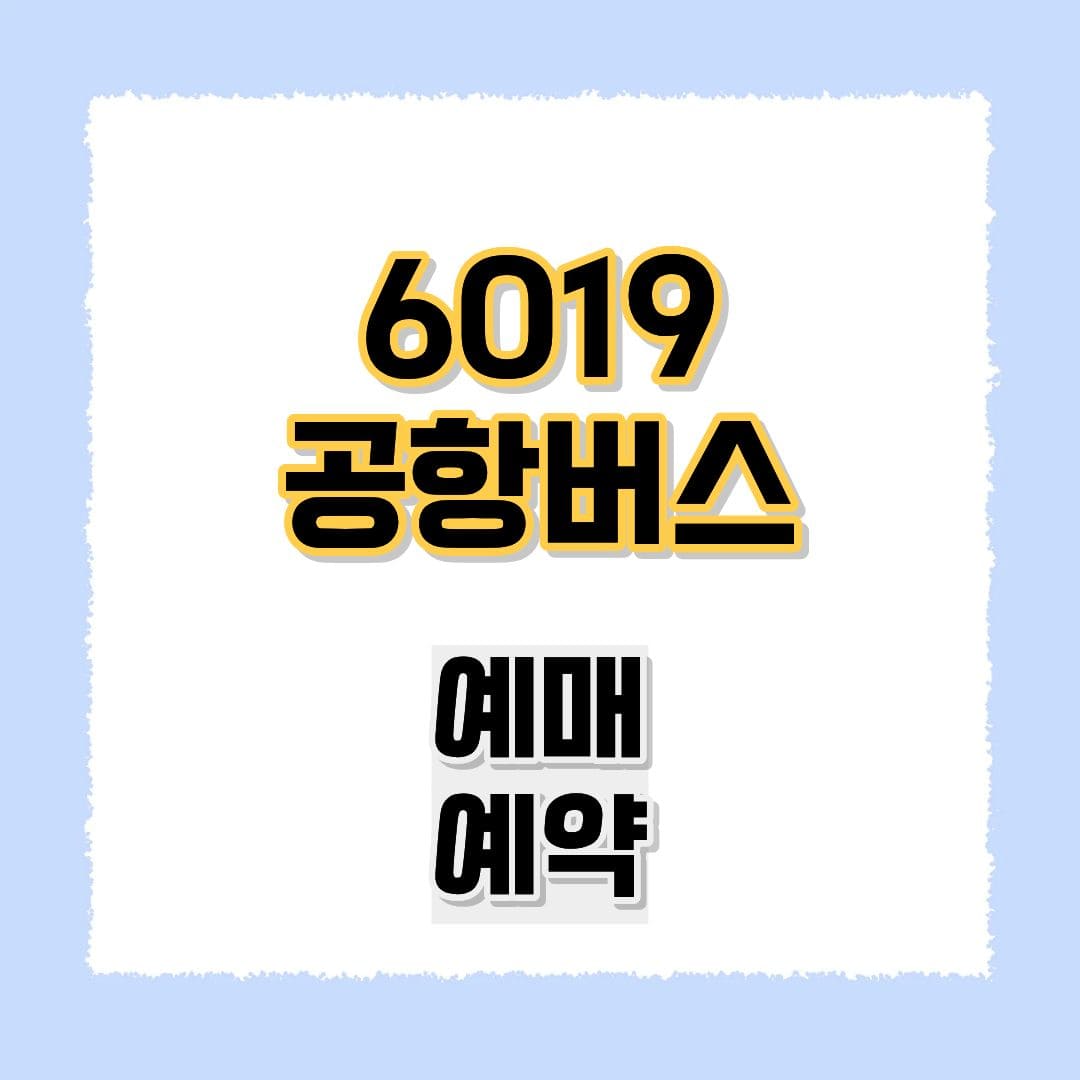 6019 공항버스