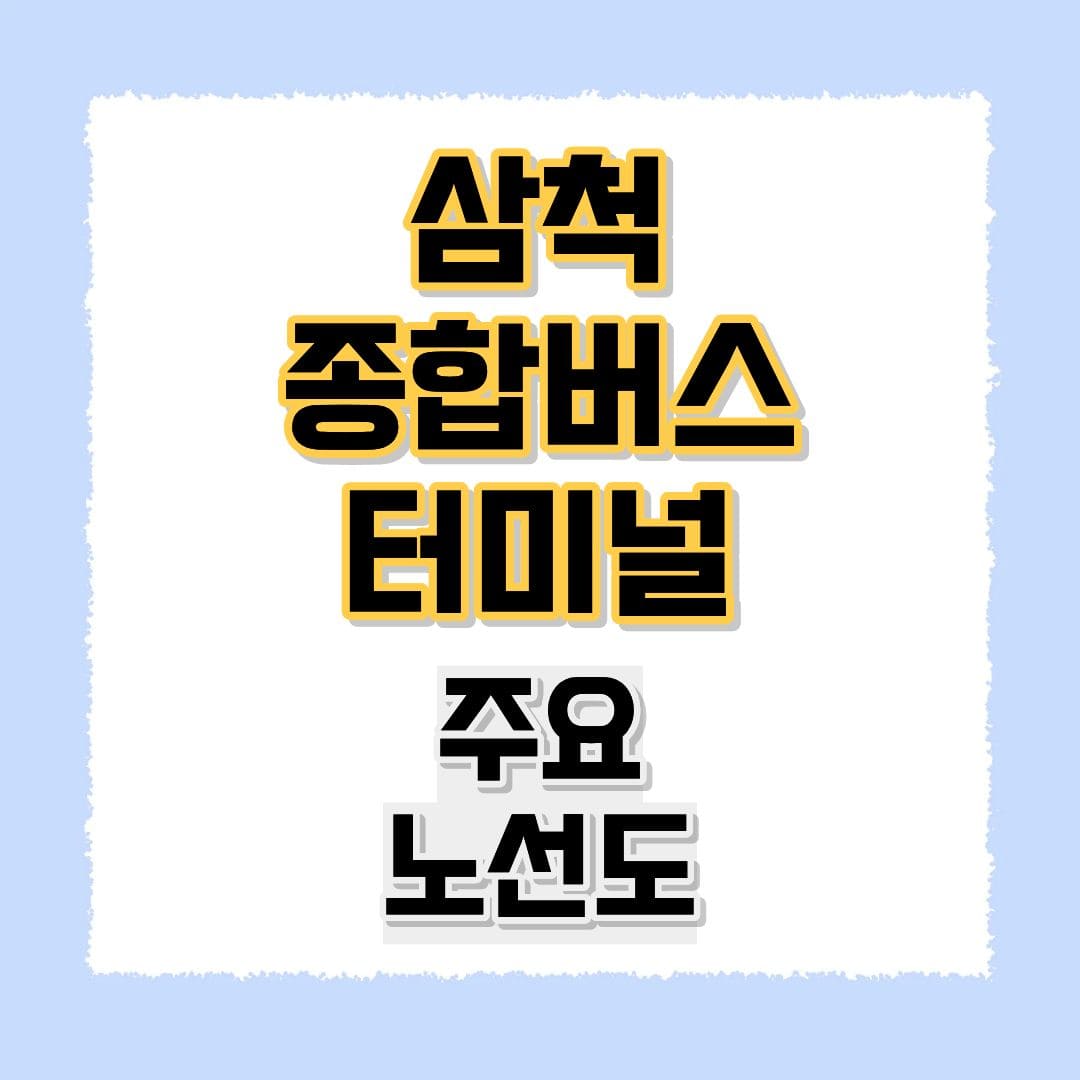 삼척종합버스터미널 주요 노선도
