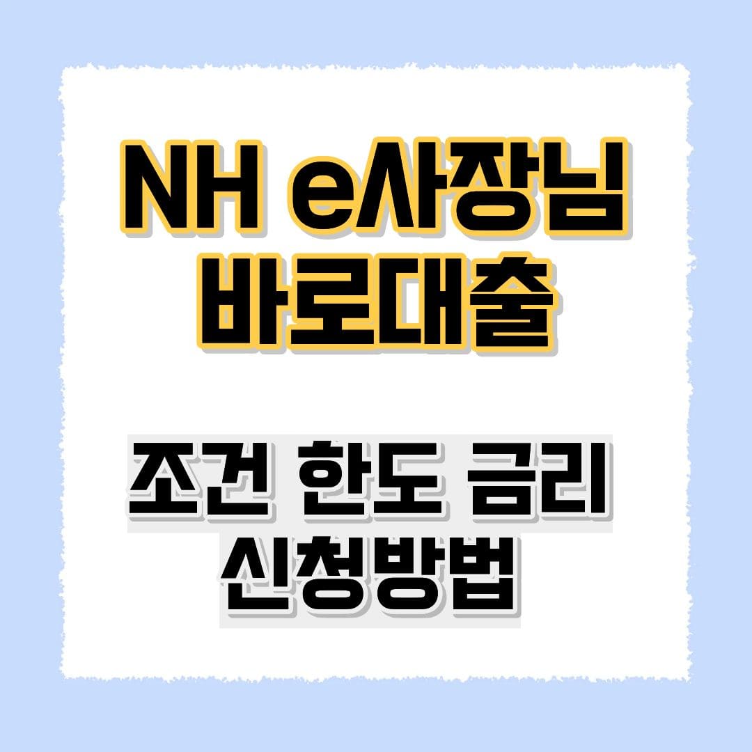 NH e사장님 바로대출