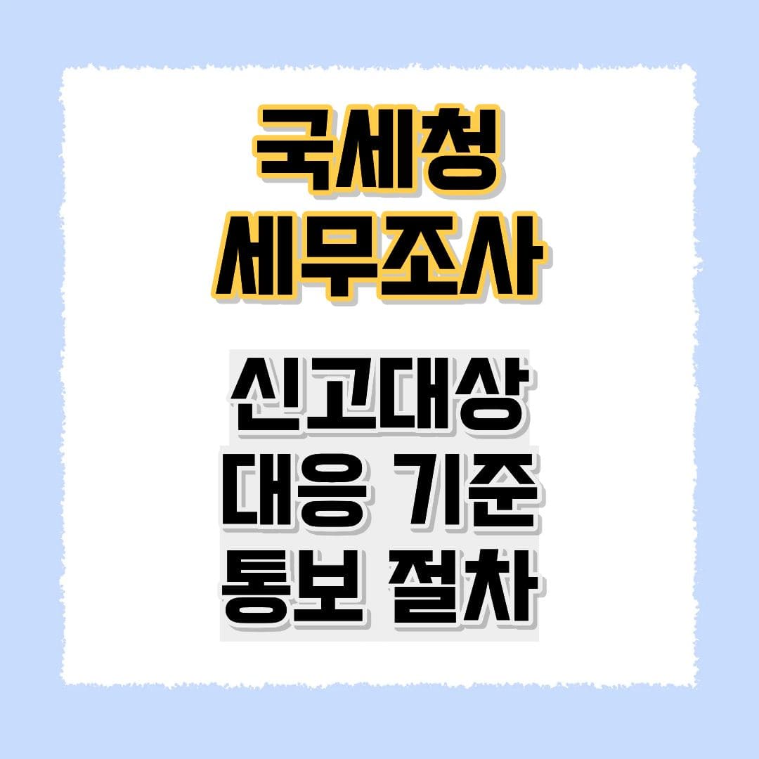 국세청 세무조사