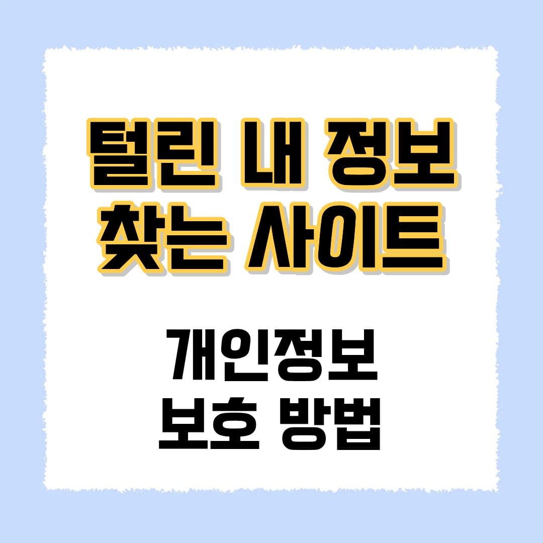 다크웹 유출 털린 내 정보