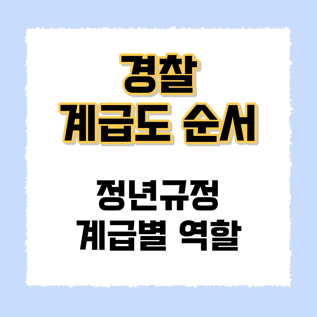 경찰 계급도