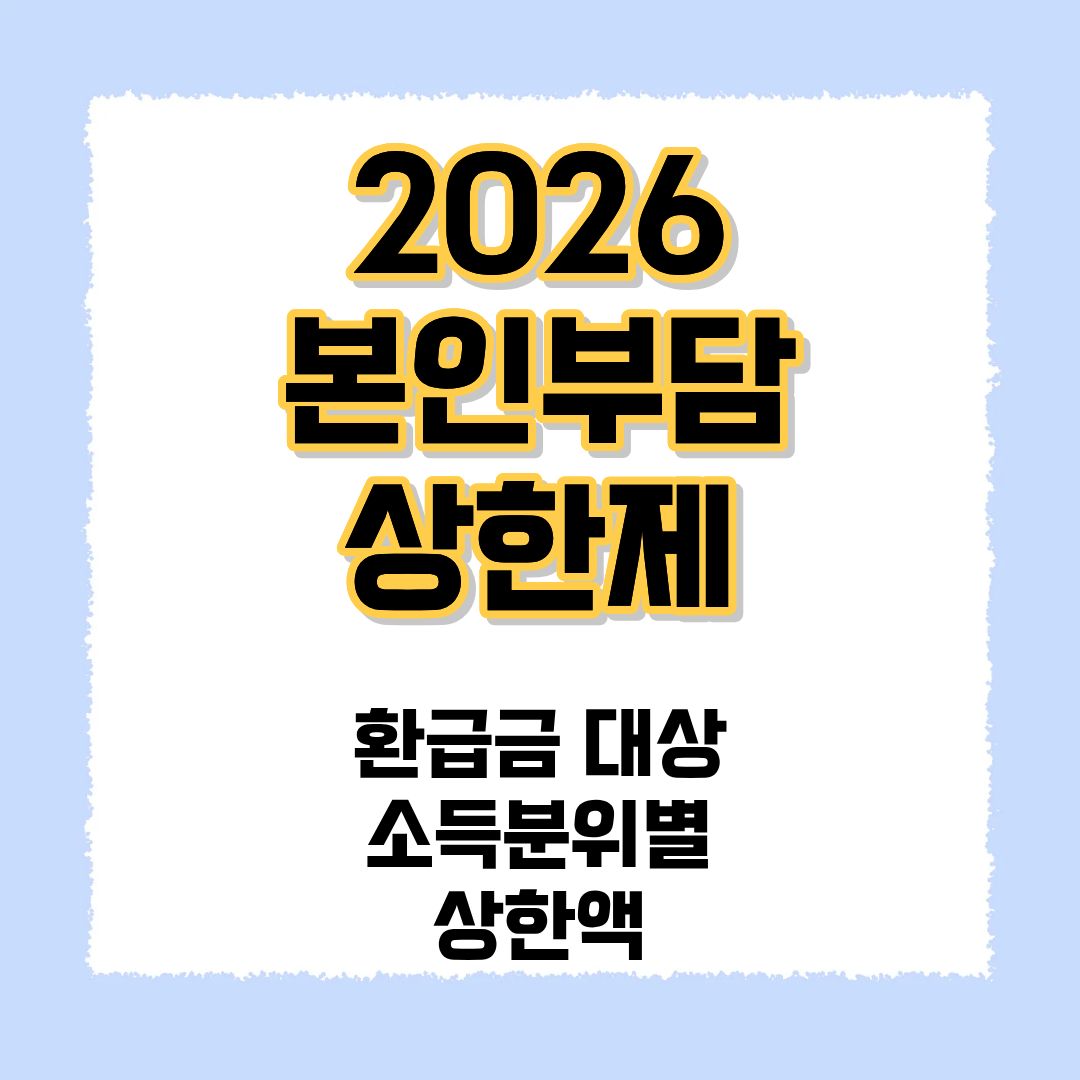 2026 본인부담상한제
