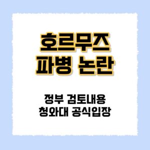 호르무즈파병논란