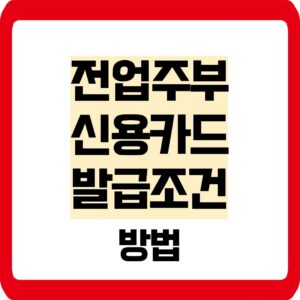전업주부 신용카드 발급