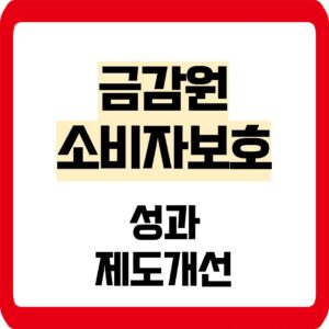 금감원 소비자보호