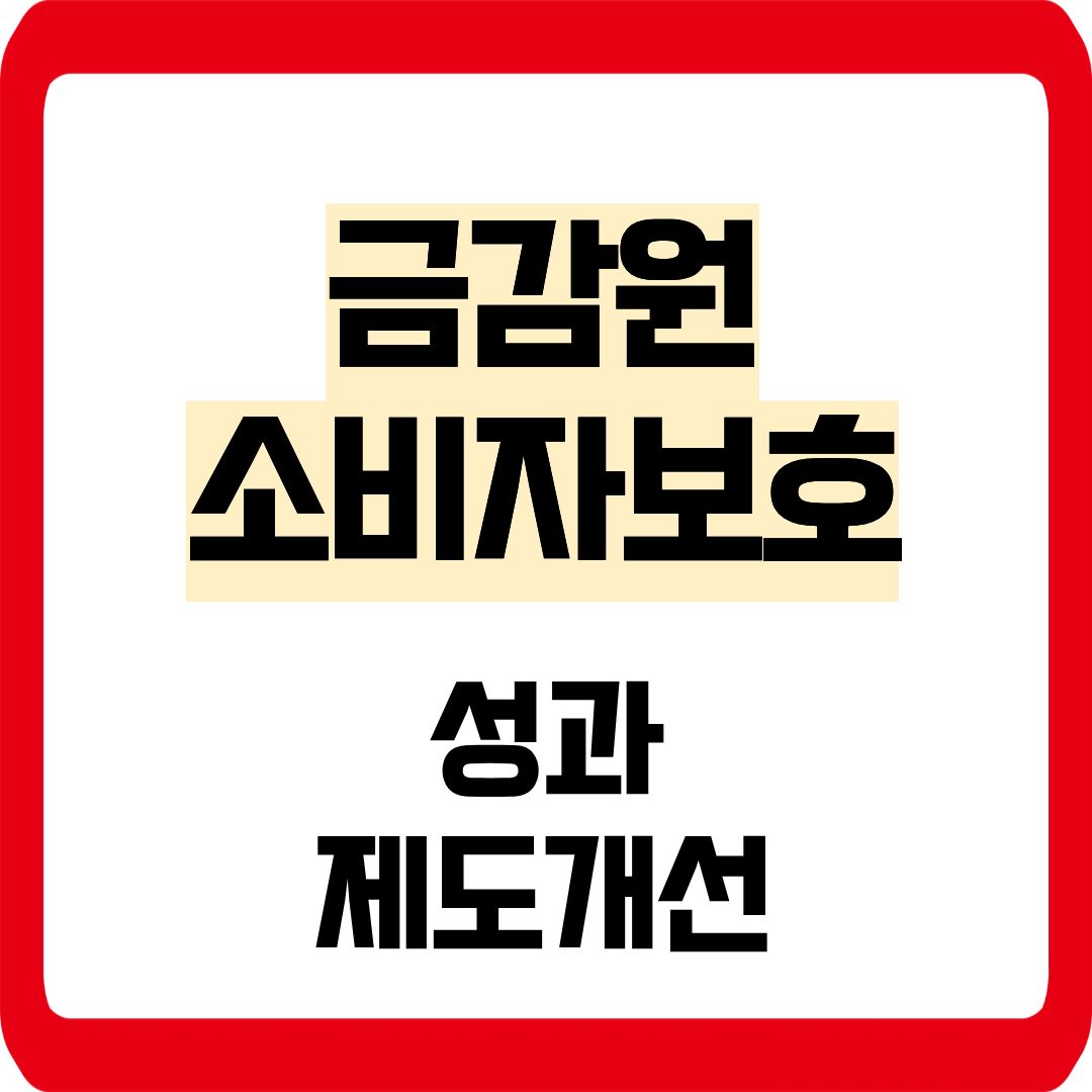 금감원 소비자보호